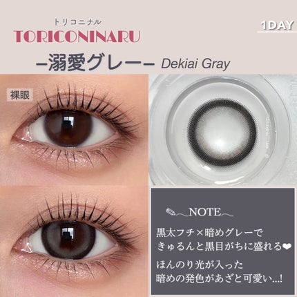 トリコニナル ワンデー/トリコニナル/ワンデー(1DAY)カラコンを使ったクチコミ(5枚目)