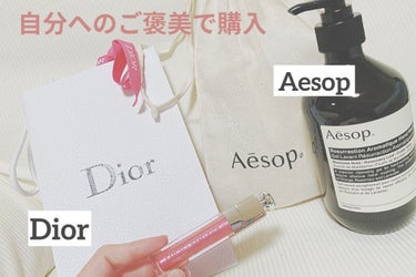 自分へのご褒美で購入

《Aesop》〈ハンドソープ〉
レスレクション ハンドウォッシュ
500ml ¥4730 (税込)

使い心地も匂いも大好きなイソップのハンドソープ。
特に好きなのは匂い！ものす