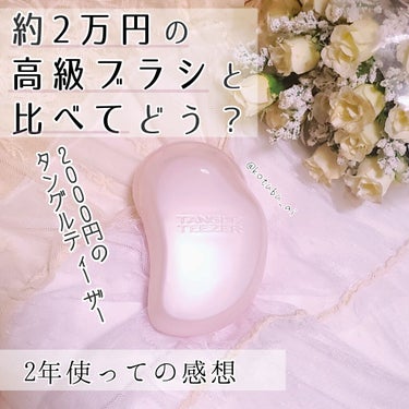 ザ・オリジナル ノーマル/TANGLE TEEZER/ヘアブラシを使ったクチコミ（1枚目）