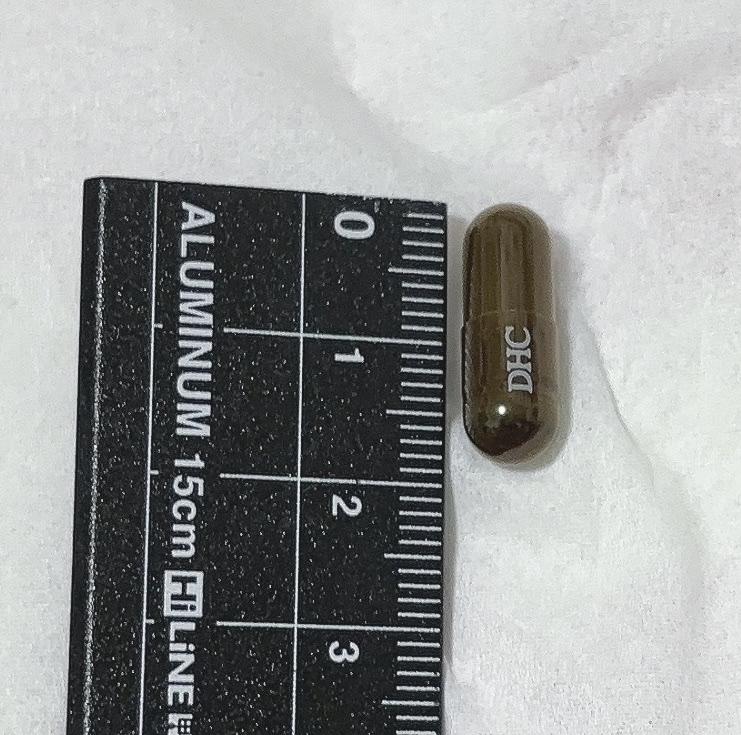 DHC ヘム鉄/DHC/健康サプリメントを使ったクチコミ（3枚目）