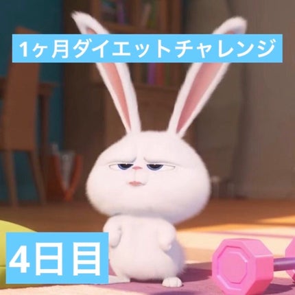 ã䜿ã£ãã¯ãã³ãïŒ1æç®ïŒ