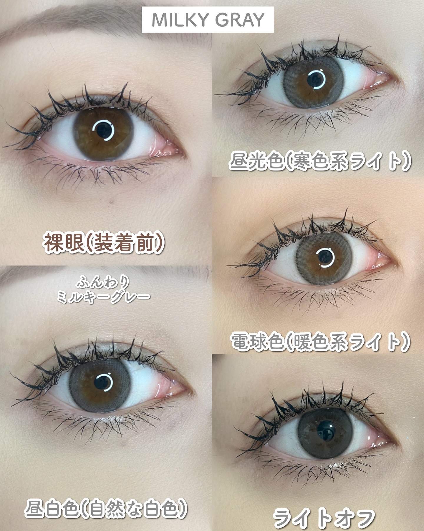 ShineTouch 1day ミルキーチョコ/OLENS/ワンデー（１DAY）カラコンを使ったクチコミ（3枚目）