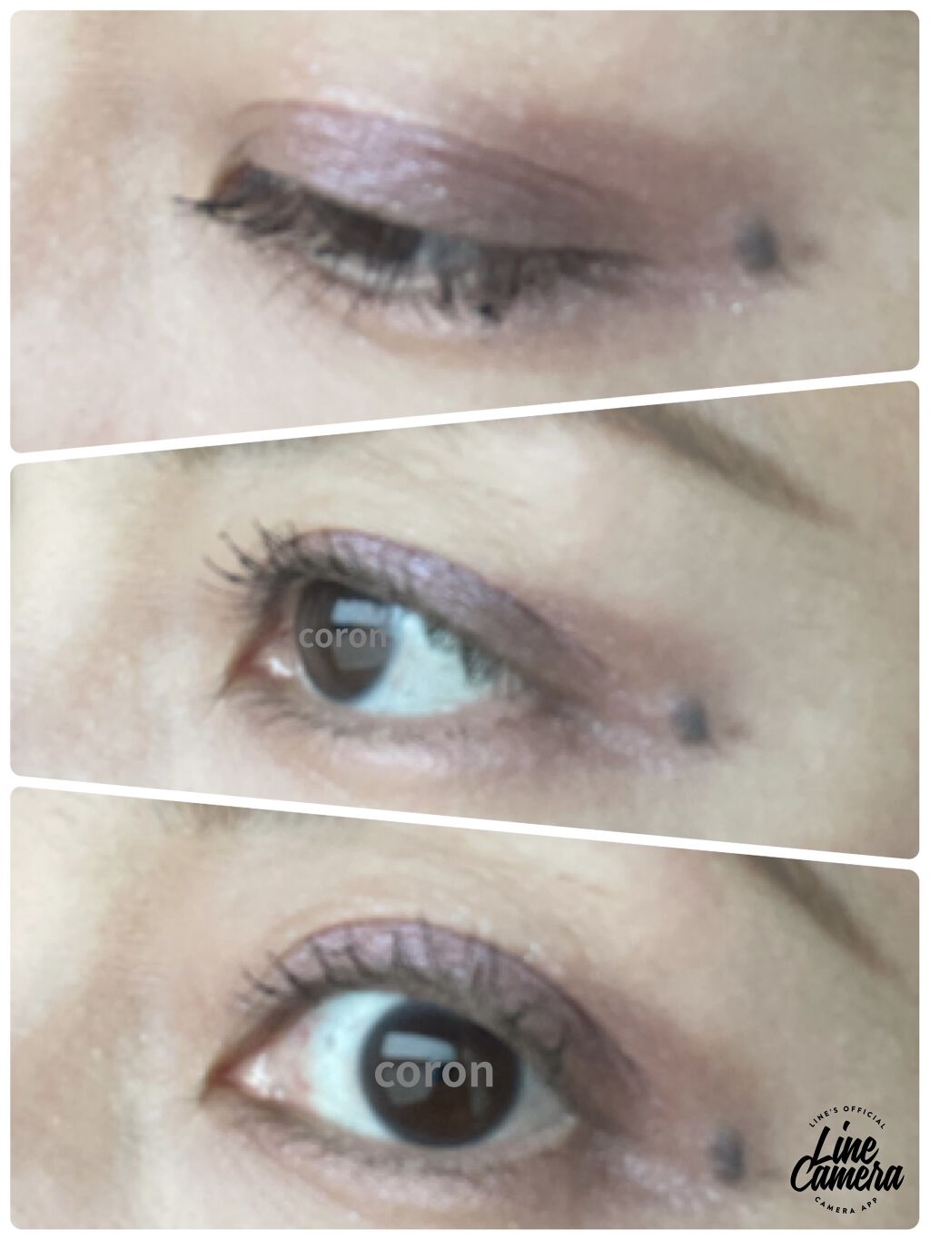 フラロッソ インテンソ アイシャドウ VI01/アスタリフト/アイシャドウパレットを使ったクチコミ（3枚目）