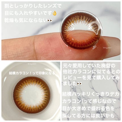 エバーカラーワンデー ナチュラル シャンパンブラウン/エバーカラー/ワンデー(1DAY)カラコンの画像