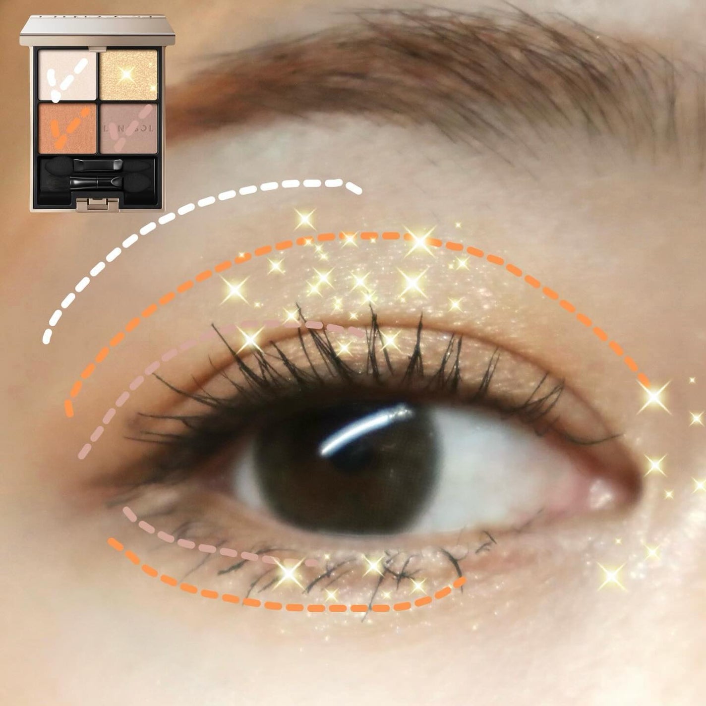 アイカラーレーション/LUNASOL/アイシャドウパレットを使ったクチコミ(5枚目)