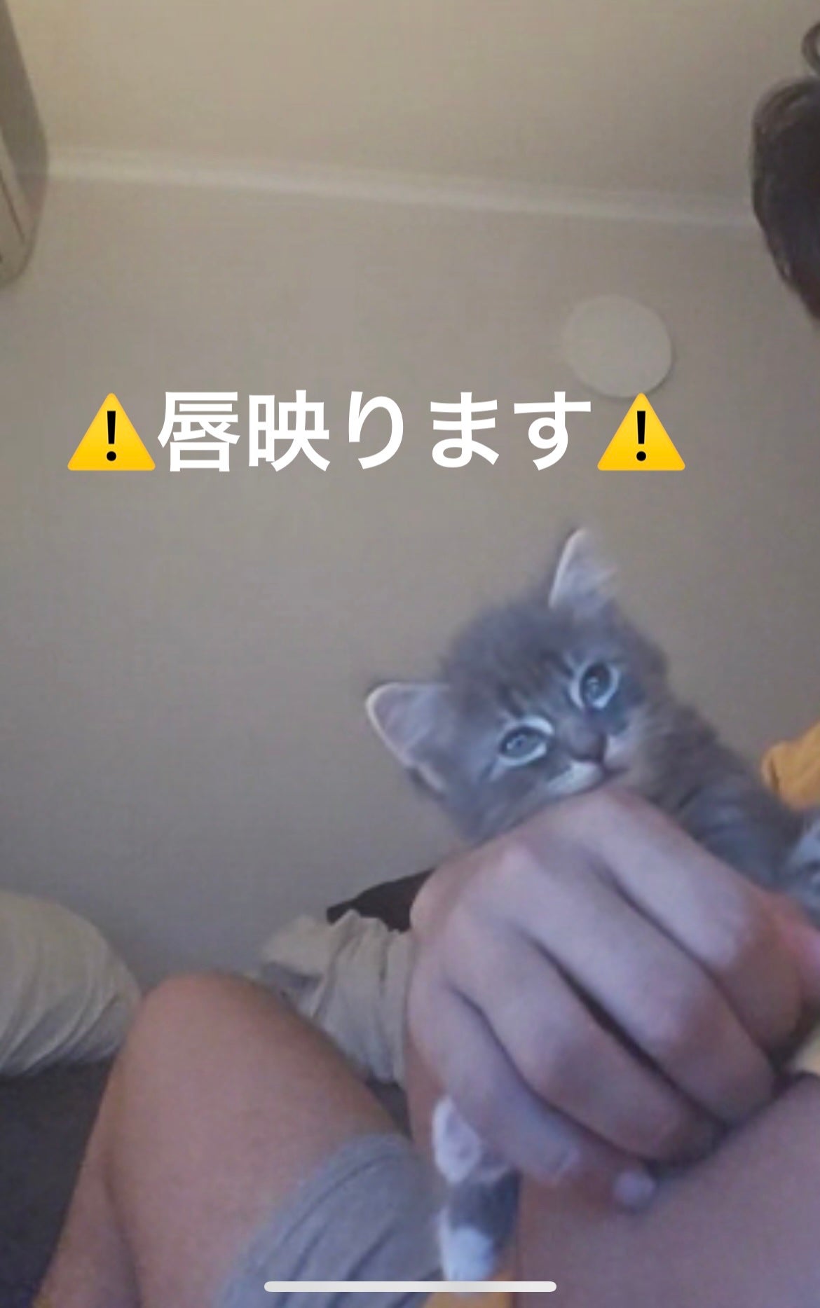 リップスリーピングマスク/LANEIGE/リップバームを使ったクチコミ(2枚目)