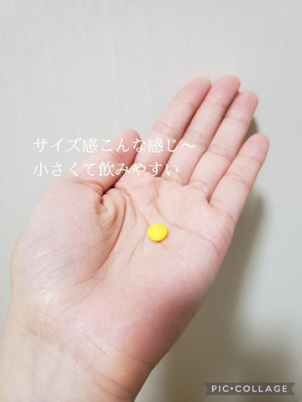 葉酸/DHC/健康サプリメントを使ったクチコミ(4枚目)