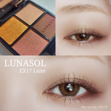 アイカラーレーション EX17 Luxe（限定発売）/LUNASOL/アイシャドウパレットを使ったクチコミ（1枚目）