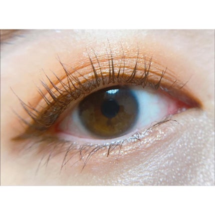 アイカラーレーション スペシャルエディション/LUNASOL/アイシャドウパレットを使ったクチコミ(3枚目)