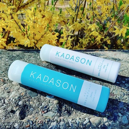 薬用スカルプシャンプー/トリートメント/KADASON (カダソン)/市販シャンプーを使ったクチコミ(1枚目)