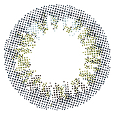 OvE(オヴィ) 1day OvE 3S