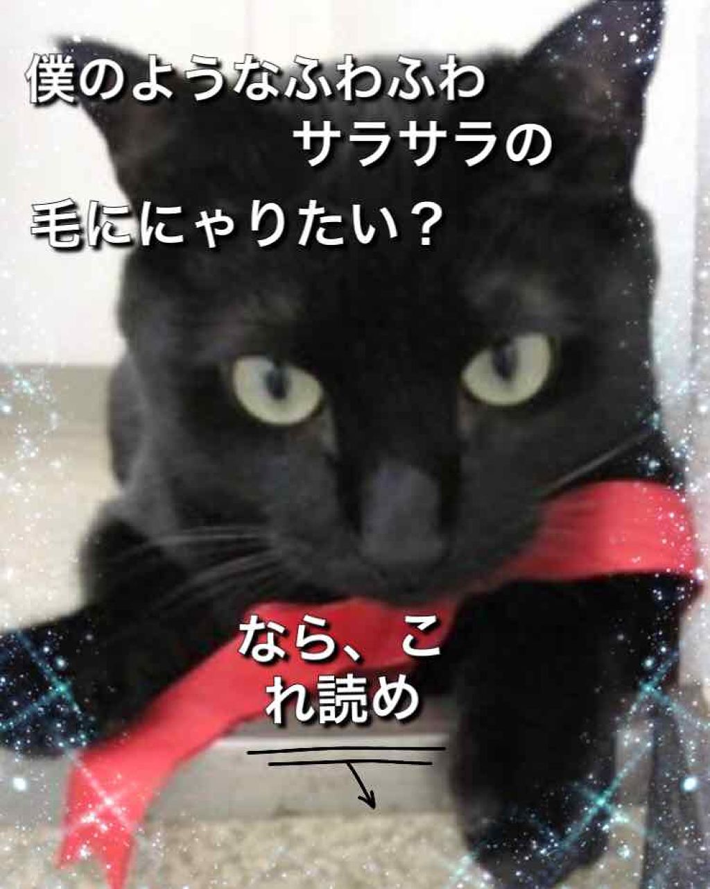 パーフェクトシャワー （さらさら） ＥＸ/MACHERIE/ヘアミストを使ったクチコミ（1枚目）