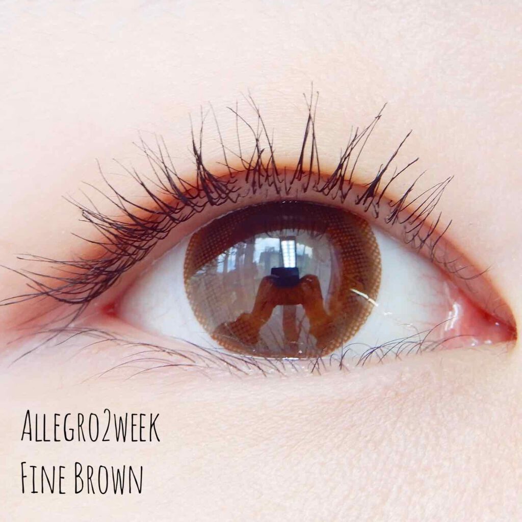 アレグロワルツブラック/アレグロ/カラーコンタクトレンズを使ったクチコミ(1枚目)