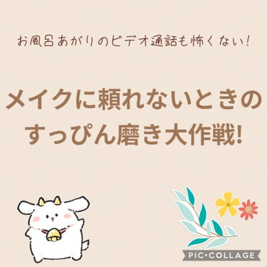 薬用美白 スキンケアパウダー ホワイトティーの香り/素肌記念日/プレストパウダーを使ったクチコミ（1枚目）