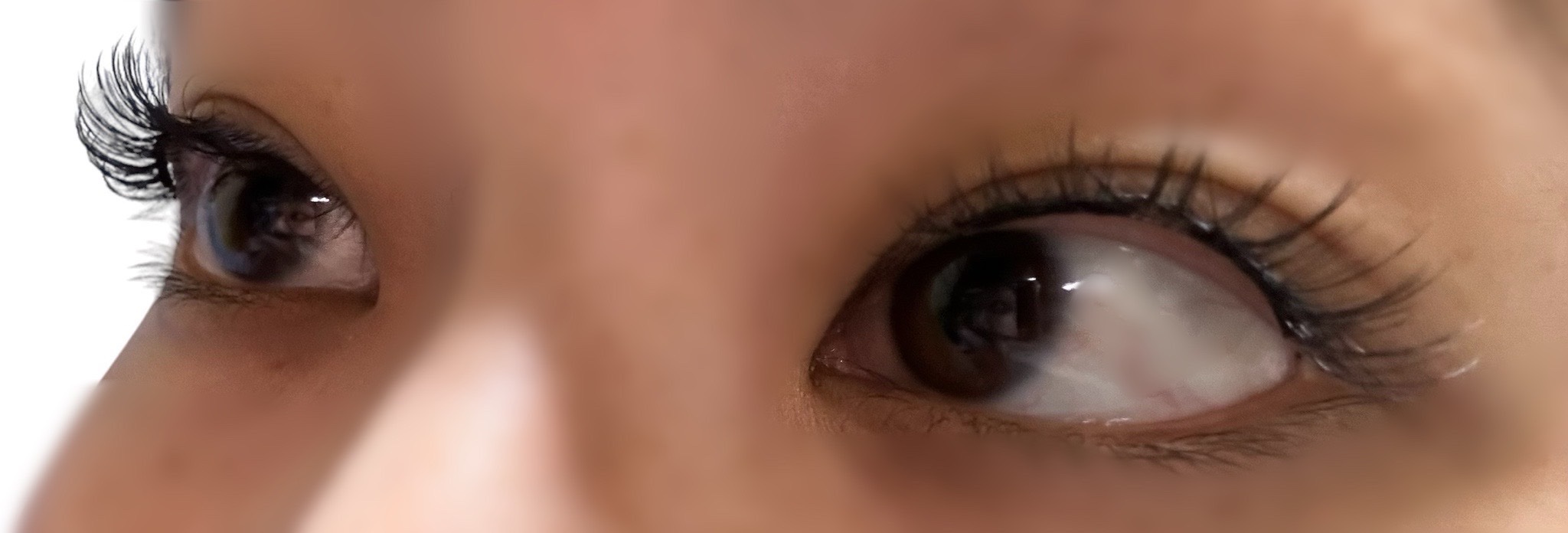 WOSADO マグネット式つけまつ毛/WOSADO/その他を使ったクチコミ（1枚目）