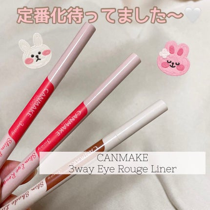 3wayスリムシェードライナー/キャンメイク/リキッドアイライナーを使ったクチコミ(1枚目)