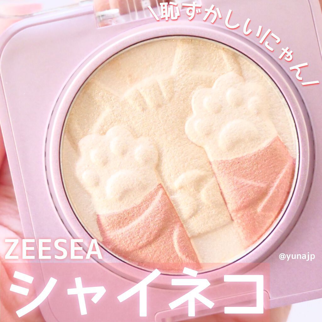 キャットハイライティングブラッシュ/ZEESEA/パウダーハイライトを使ったクチコミ（1枚目）