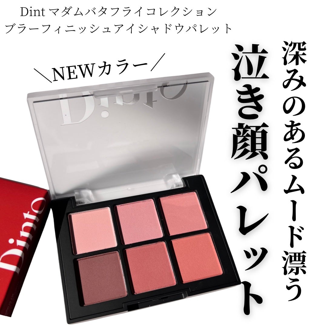 ブラーフィニシュシャドウパレット/Dinto/アイシャドウパレットを使ったクチコミ(1枚目)