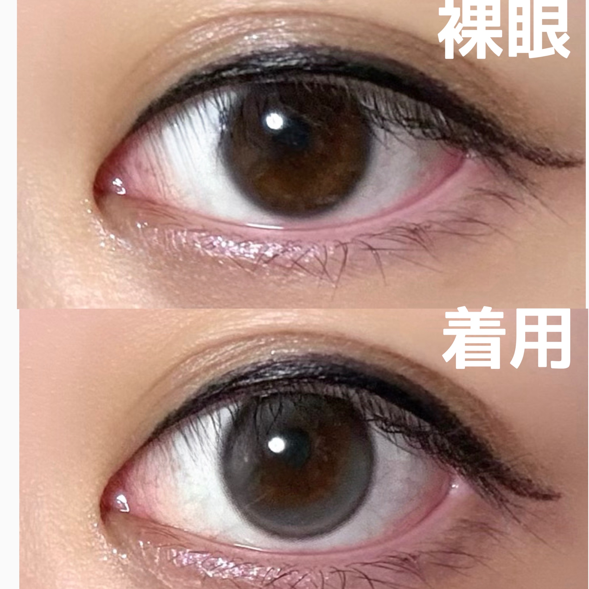 Double Tint 1day/OLENS/カラーコンタクトレンズを使ったクチコミ（2枚目）