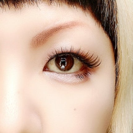 シルキースフレアイズ/キャンメイク/アイシャドウパレットを使ったクチコミ(6枚目)