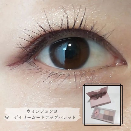 ウォンジョンヨ W デイリームードアップパレット /Wonjungyo/アイシャドウパレットを使ったクチコミ(1枚目)