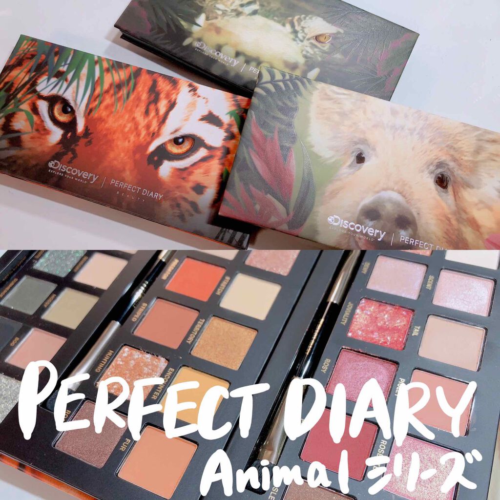 エクスプローラ12色 動物アイシャドウパレット/PERFECT DIARY/アイシャドウパレットを使ったクチコミ(1枚目)