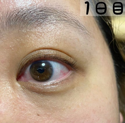 マジックティント/MAJOLICA MAJORCA/マスカラを使ったクチコミ(5枚目)