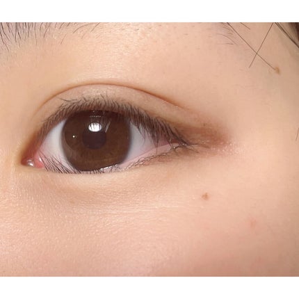 パーフェクトマルチアイズ/キャンメイク/アイシャドウパレットを使ったクチコミ(5枚目)