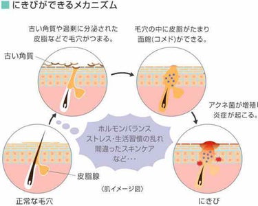 クレンジングリサーチ ウォッシュクレンジング N/クレンジングリサーチ/洗顔フォームを使ったクチコミ（2枚目）