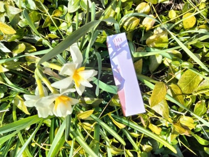 を使ったクチコミ(1枚目)