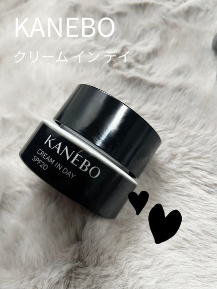 クリーム イン デイ/KANEBO/フェイスクリームを使ったクチコミ(2枚目)