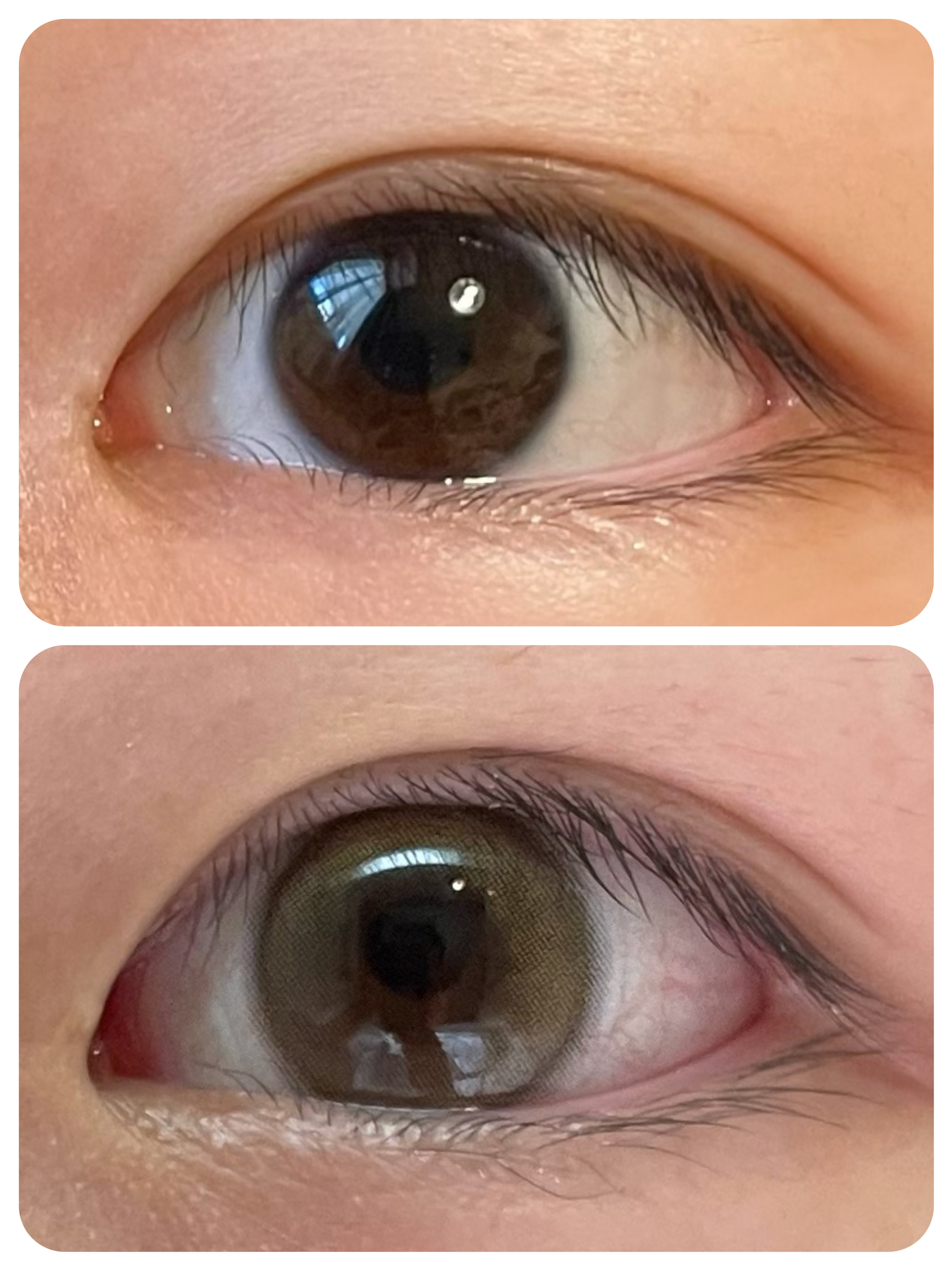 超モテコンウルトラワンデー おしゃモテリング/モテコン/ワンデー（１DAY）カラコンを使ったクチコミ（2枚目）