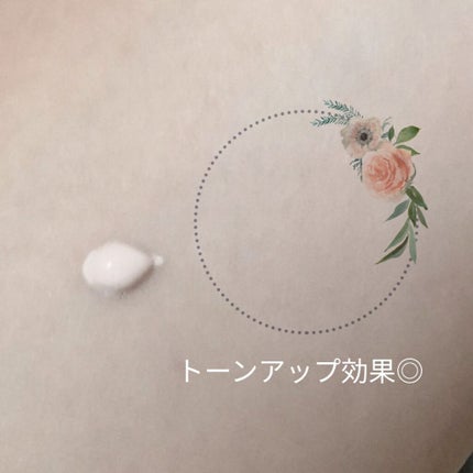 トーンアップ ノーセバム サンスクリーン SPF50+ PA++++/innisfree/日焼け止めクリームを使ったクチコミ(2枚目)