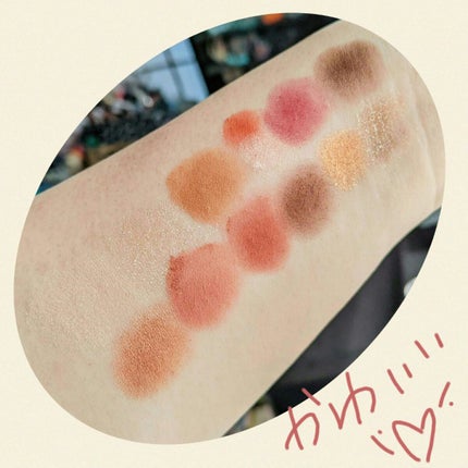 エクスプローラ12色 動物アイシャドウパレット/PERFECT DIARY/アイシャドウパレットを使ったクチコミ(4枚目)