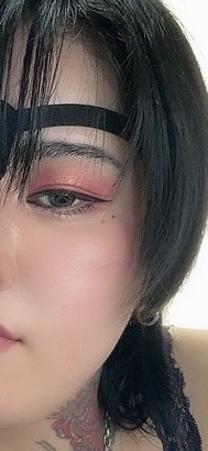 アニマルアイシャドウ(4シェード)/ZEESEA/アイシャドウパレットを使ったクチコミ（3枚目）