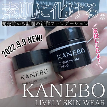 カネボウ フュージョンフィット ウェア PINK OCHRE B/KANEBO/リキッドファンデーションを使ったクチコミ（1枚目）