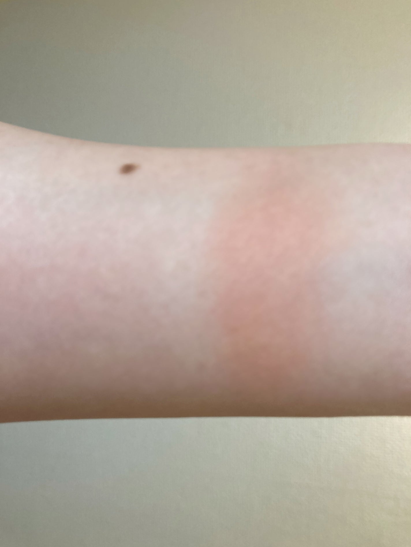 シーグラム カラーブルーム リキッドブラッシュ/SHEGLAM/リキッドチークを使ったクチコミ(4枚目)