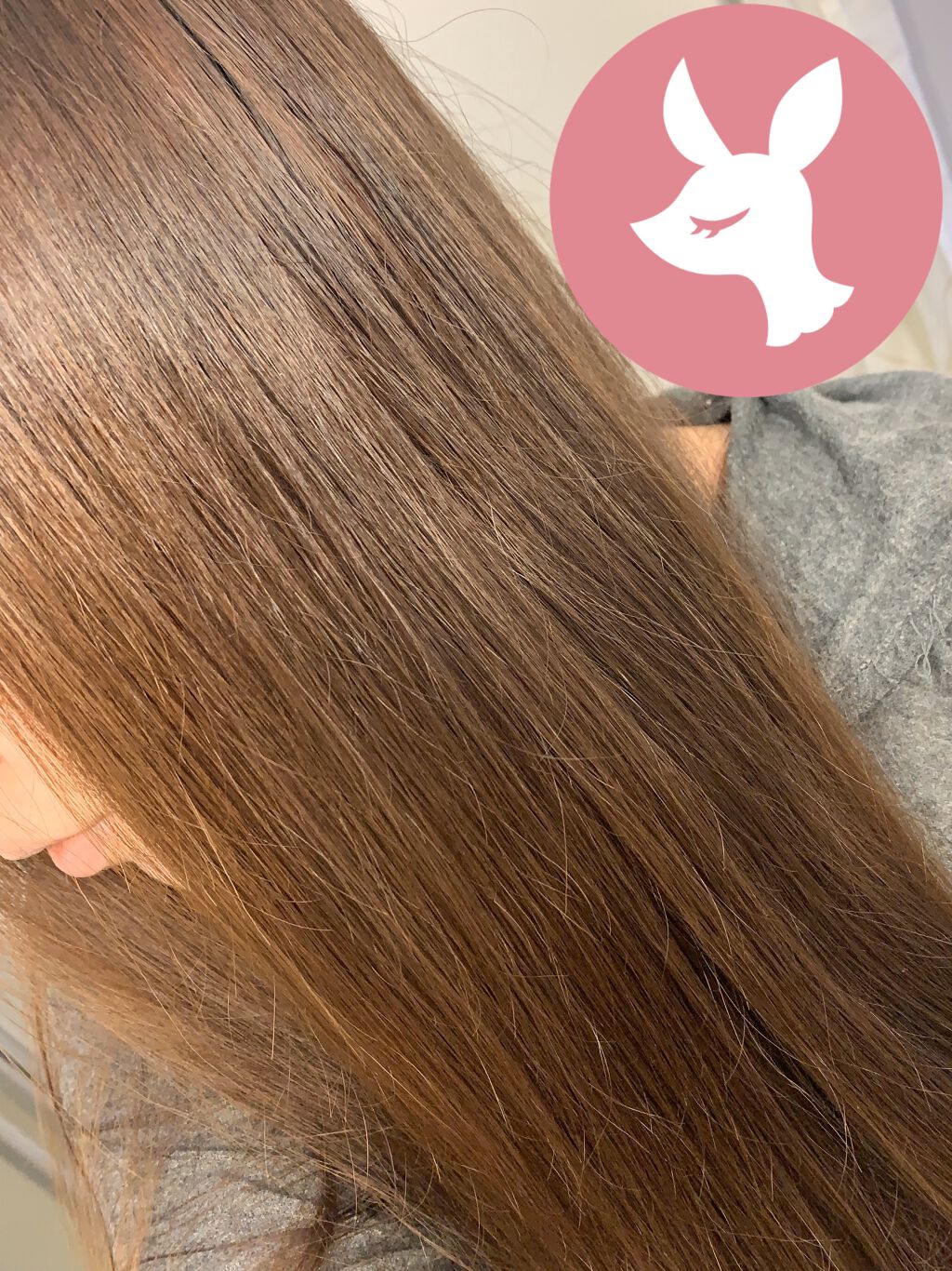 ファンゴ シャンプー/Prédia/市販シャンプーを使ったクチコミ（1枚目）