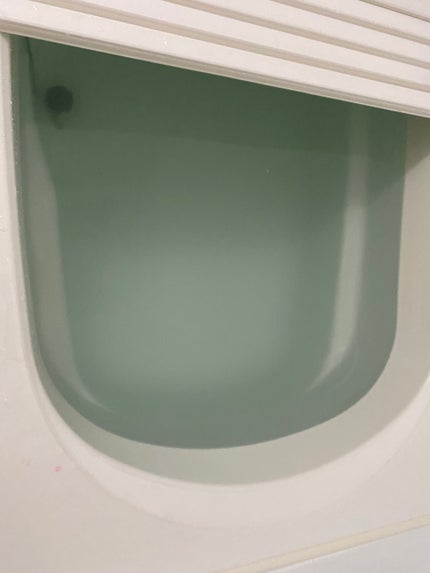 さくらパレードバス さくら&ホワイトティー/DIバスフラワー/保湿系入浴剤を使ったクチコミ(7枚目)