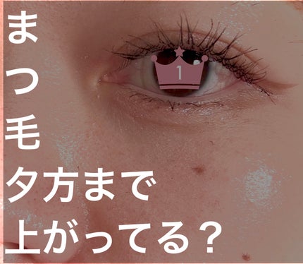 スカイハイ/MAYBELLINE NEW YORK/マスカラを使ったクチコミ(1枚目)