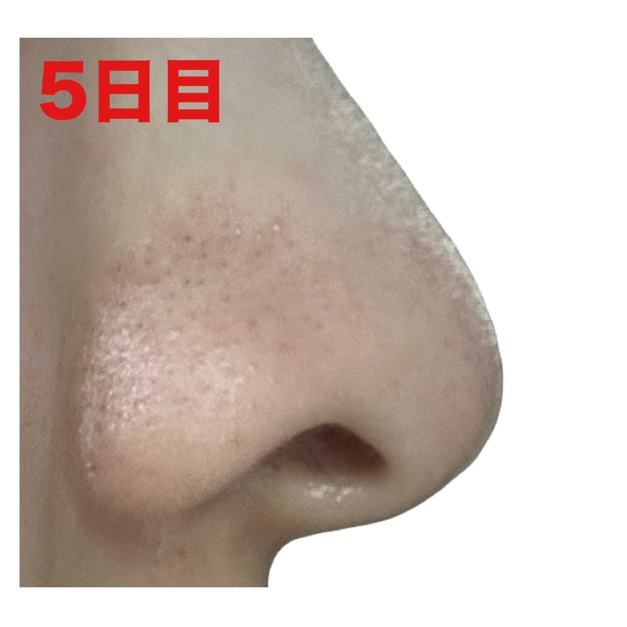 泥ジェル洗顔/ファンケル/その他洗顔料を使ったクチコミ(8枚目)