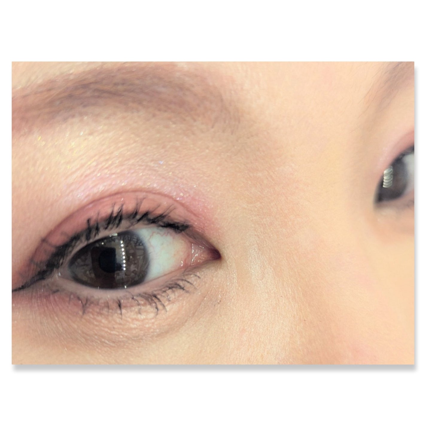 シャドーカスタマイズ/MAJOLICA MAJORCA/単色アイシャドウを使ったクチコミ(2枚目)