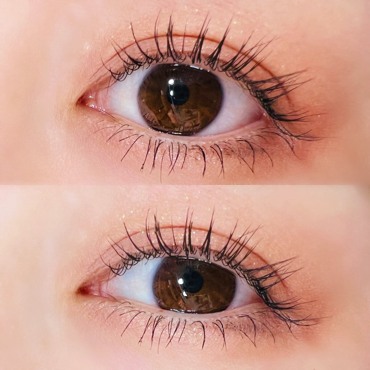 マルチカラーパレット/heme/マルチパレットを使ったクチコミ（2枚目）