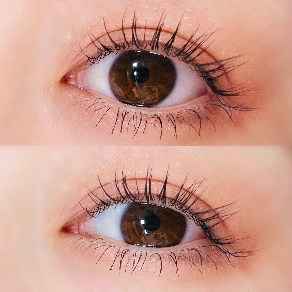 マルチカラーパレット/heme/マルチパレットを使ったクチコミ(2枚目)