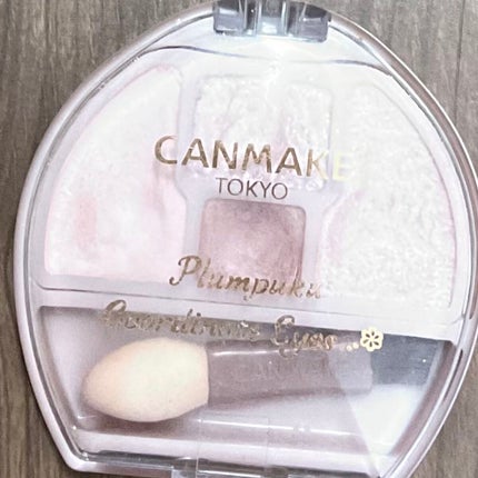 プランぷくコーデアイズ/キャンメイク/パウダーアイシャドウを使ったクチコミ(1枚目)