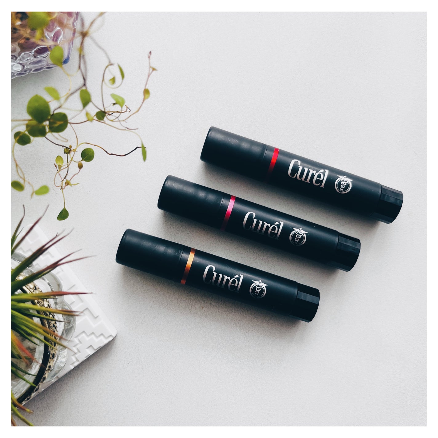 リップケア クリーム(美発色シリーズ)/キュレル/リップクリームを使ったクチコミ(2枚目)