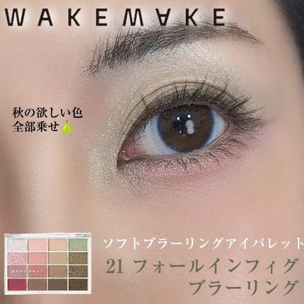 ソフトブラーリングアイパレット/wakemake/アイシャドウパレットを使ったクチコミ(1枚目)