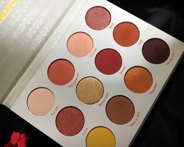 Yes,Please! Shadow Palette/ColourPop/パウダーアイシャドウを使ったクチコミ（2枚目）