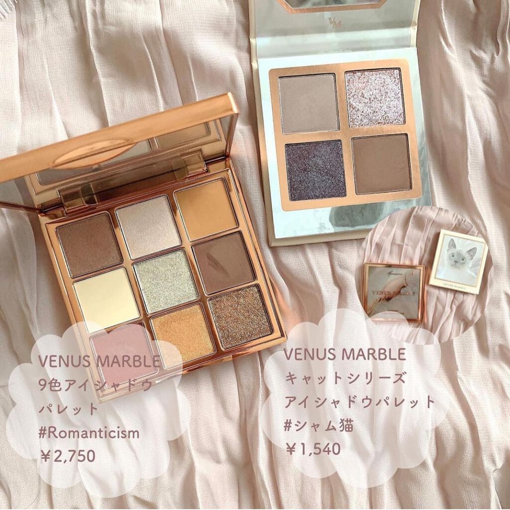 長相思シリーズ 9色アイシャドウパレット/CATKIN/アイシャドウパレットを使ったクチコミ(2枚目)