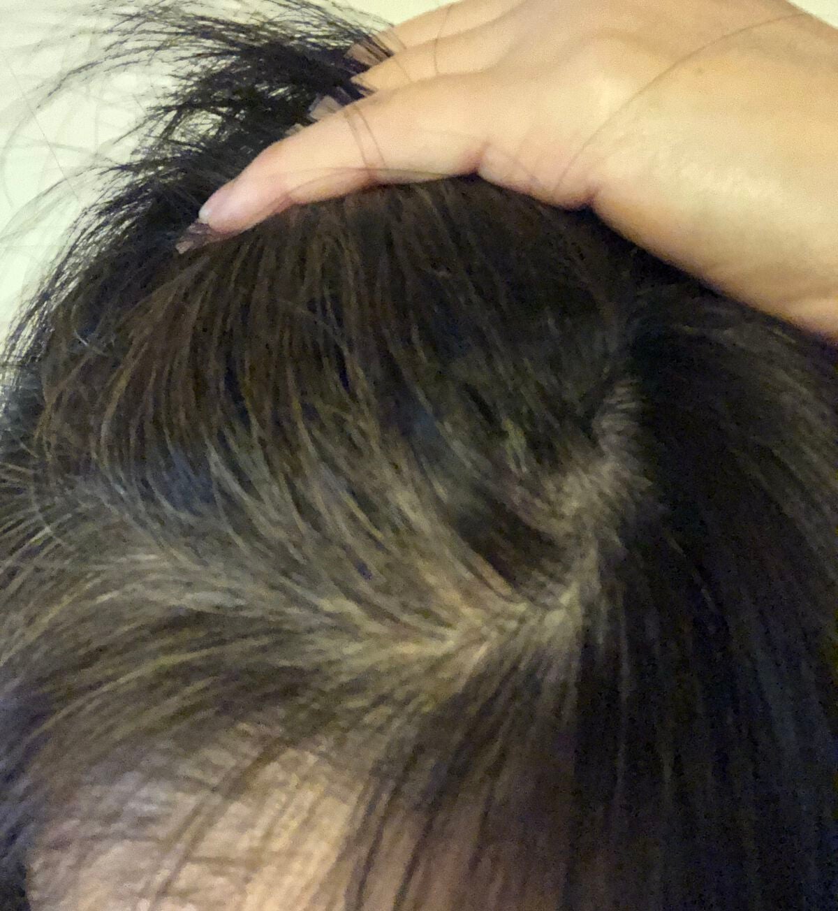 モイスト&カラー カラートリートメント /Wellage/ヘアカラーを使ったクチコミ(7枚目)